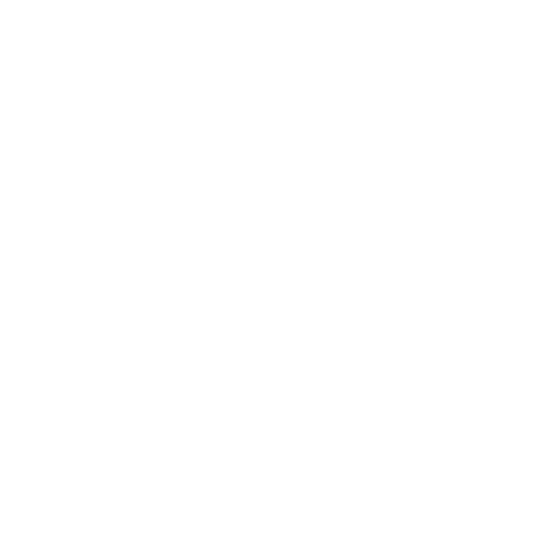 Fiat Professional