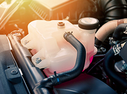 Refrigeración del motor