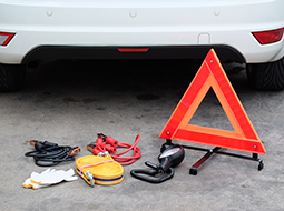 Seguridad y emergencia